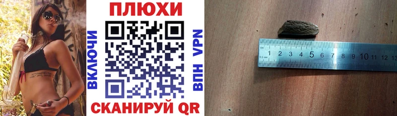 OMG ссылки  Петухово  ГАШ Изолятор 