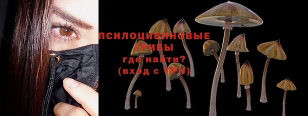 apvp Арсеньев
